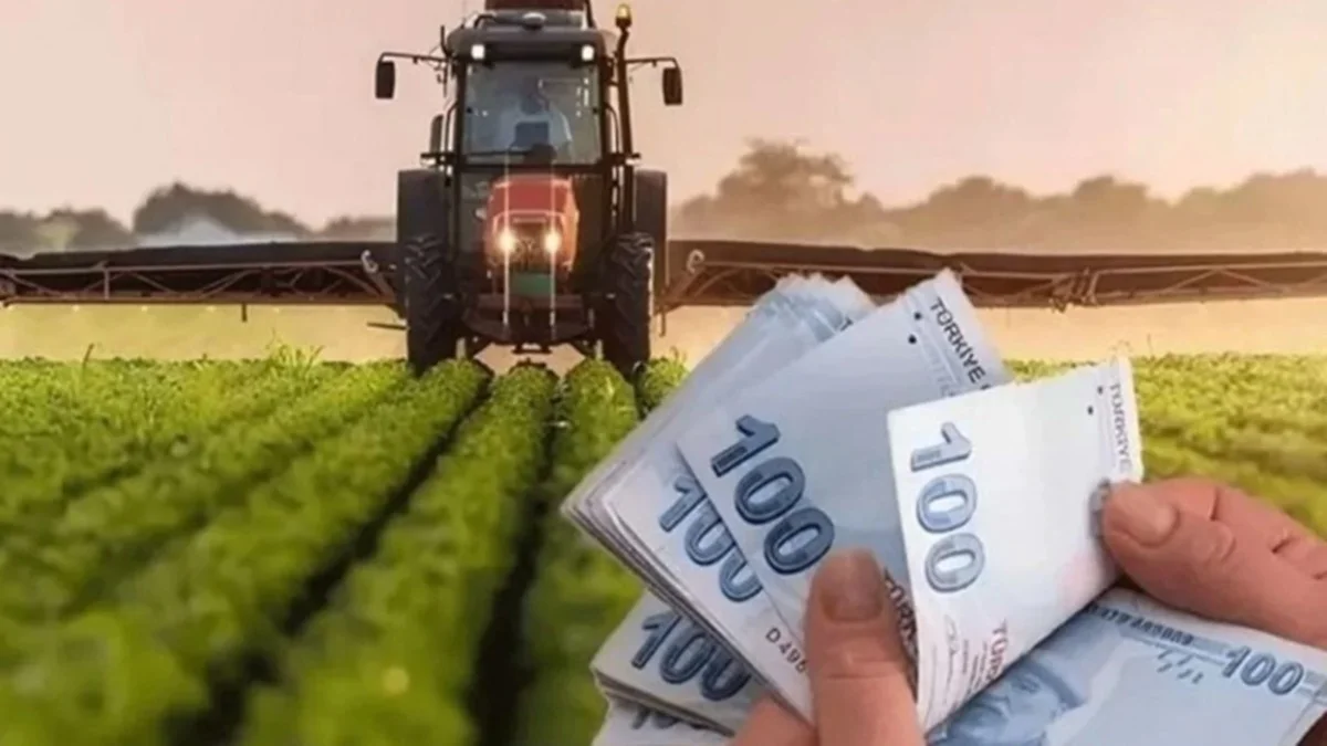 Çiftçi Ödemesine Kavuşuyor: Destek Paraları İlk Hafta Hesapta!