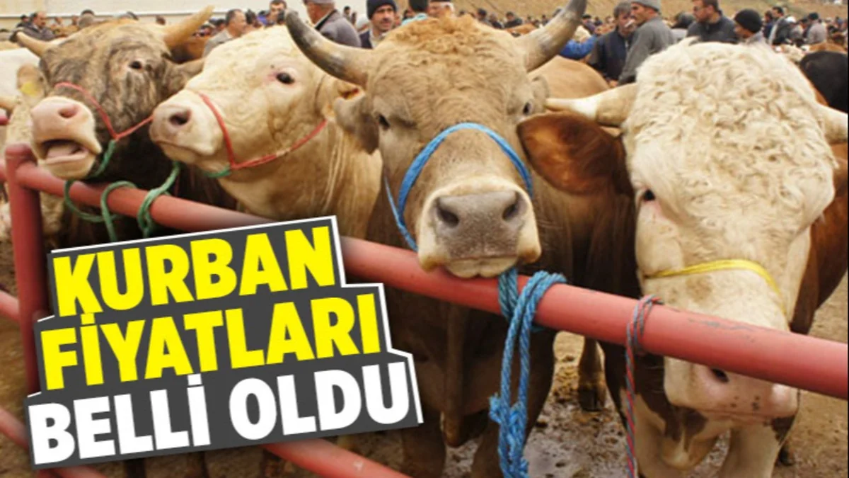 Kurban Alacaklar Dikkat! 2026 Fiyatları Belli Oldu