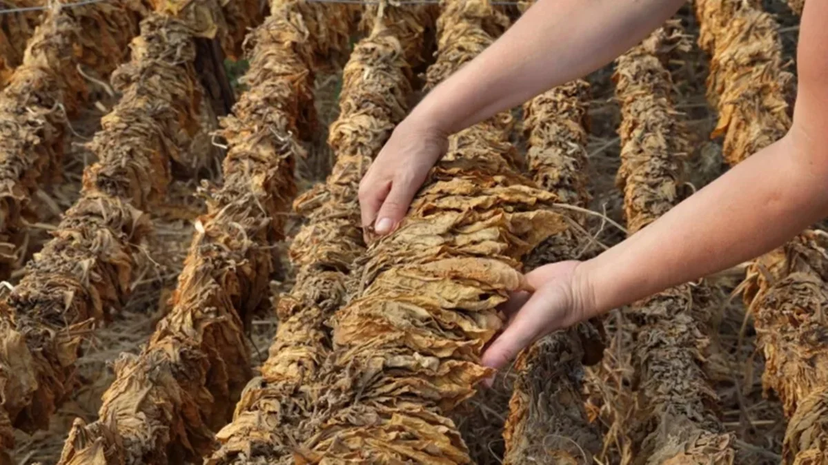 Yarım Asırlık Fabrika İflasın Eşiğinde: Çalışanların İş Akdine Son Veriliyor